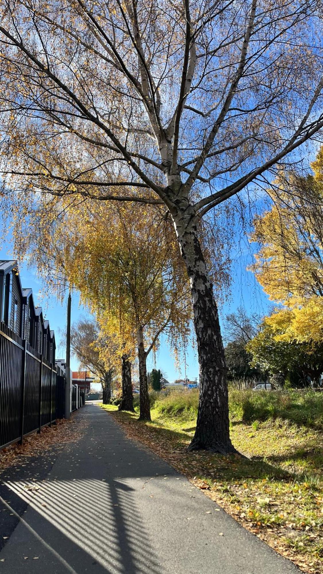 Luxury 2 Bedroom By St James Park Christchurch Exterior foto